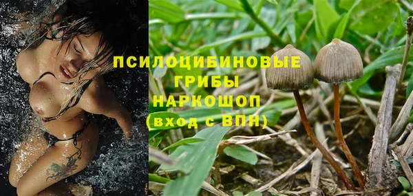 МДМА Богородицк